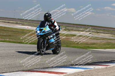media/Mar-23-2025-TrackDaz (Sun) [[88a7749186]]/C Group/1240pm (Wheelie Bump)/